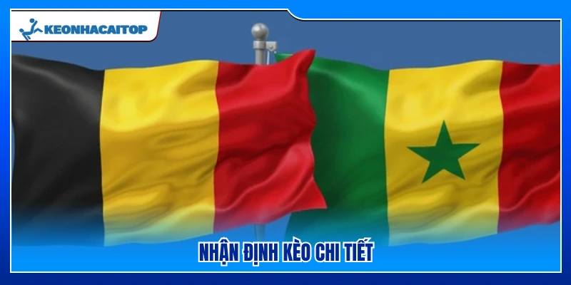 Đánh giá tỷ lệ kèo Bỉ vs Senegal từ góc nhìn chuyên gia