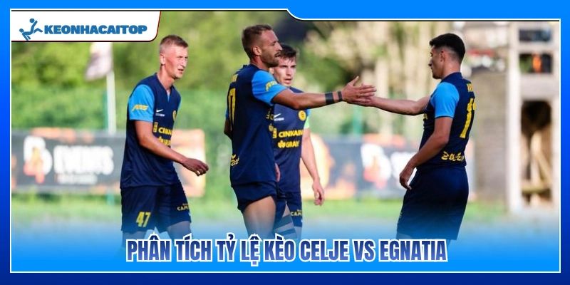 Soi kèo và đánh giá tỷ lệ cược trận đấu Celje vs Egnatia 
