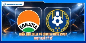 Nhận Định Celje Vs Egnatia 01h15 29/07: Rượt Đuổi Tỷ Số 