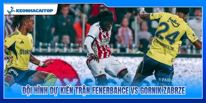 Dự kiến lực lượng ra sân của Fenerbahce vs Gornik Zabrze 
